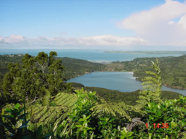 scenery near auckland new zealand