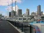 [Auckland Skyline & Marina]