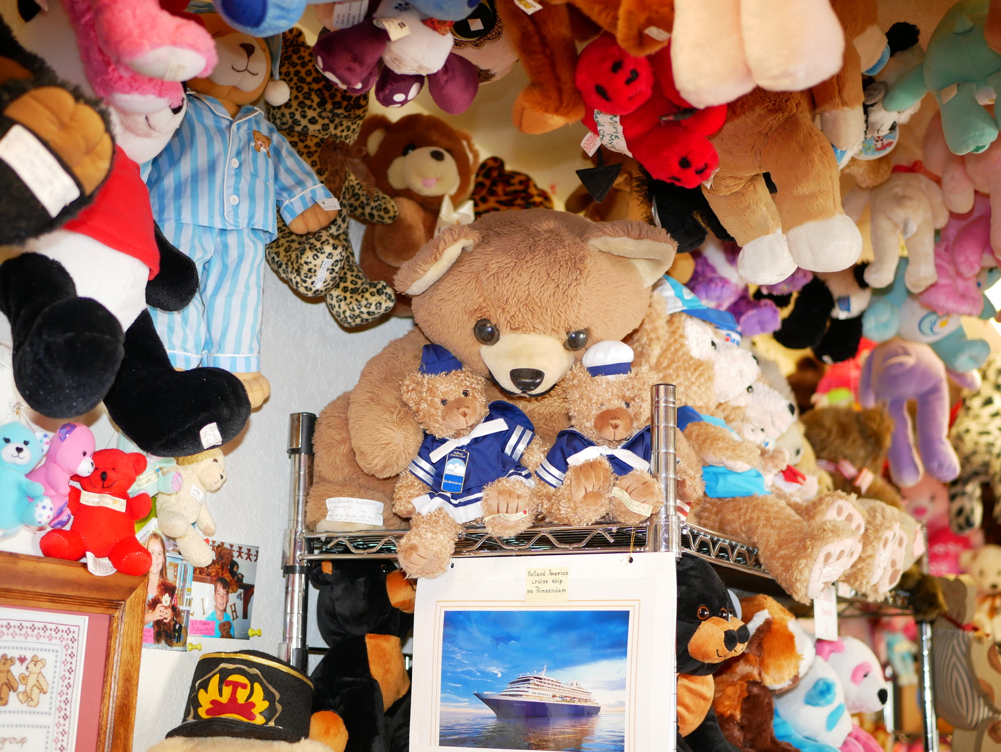 our bears at teddy bear town