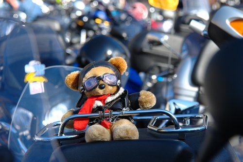 teddy bear on motorcycle