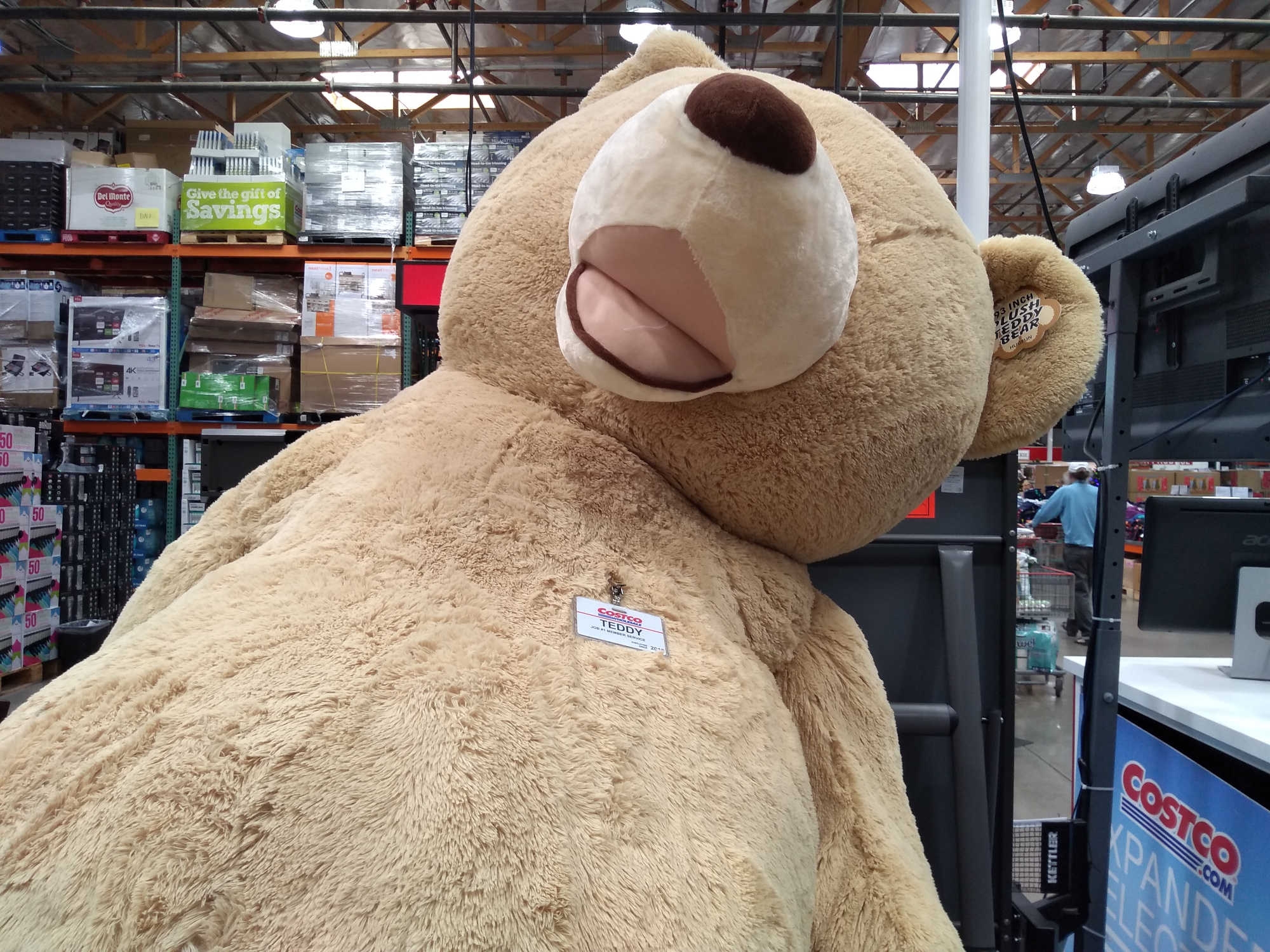 xl teddy bear costco