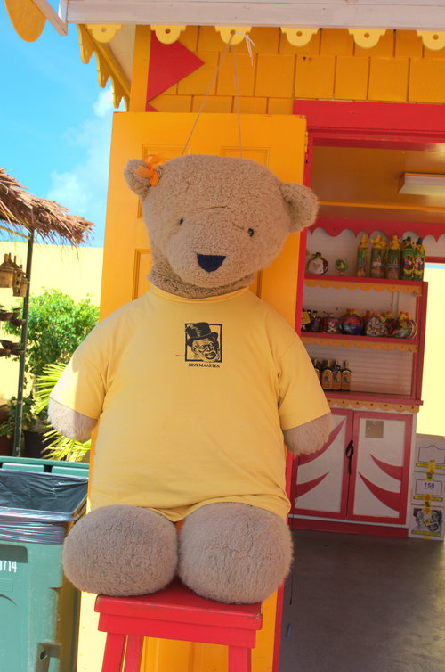 bear on st maarten, caribbean