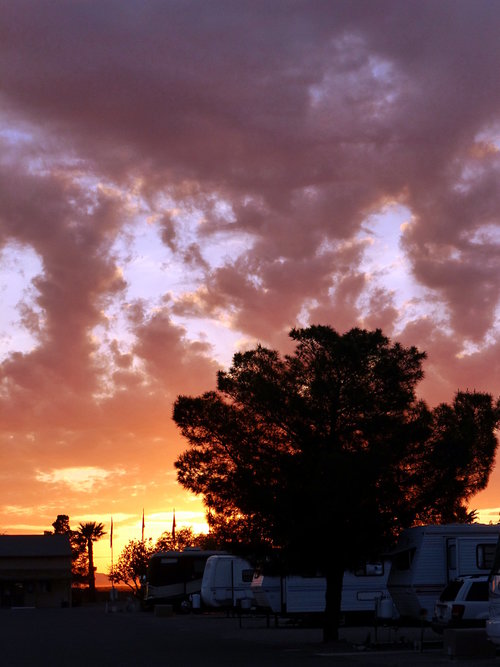 [Tree and Sunset, Casa Grande]