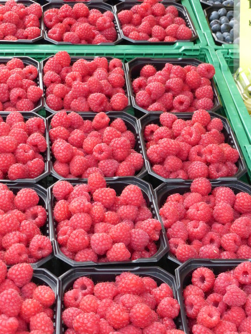 Raspberries for sale in the inner harbor area of Bergen, Norway
