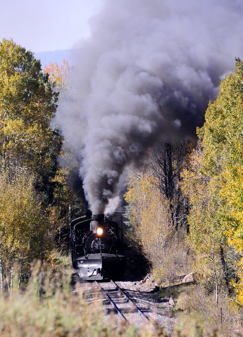 [Train Coming Out of Trees, Working Uphill Out of Chama, New Mexico]