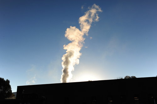 [Steam from Locomotive in Early Morning]