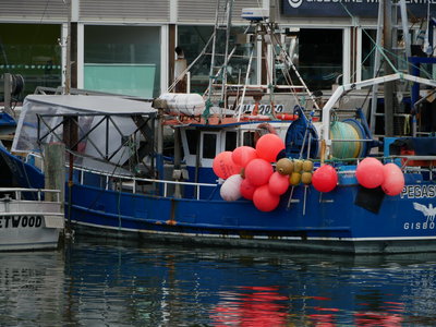[Fishing Boats in Port] style=