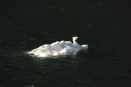 Floating Ice, Prince Christian Sound