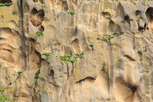 [Sea Cliff with Birds