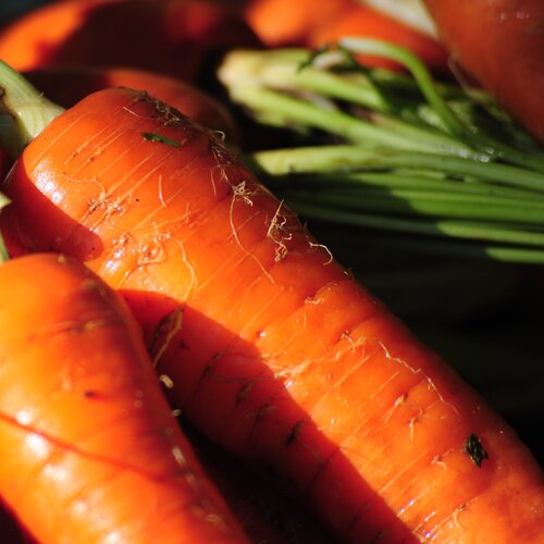 [Carrots at Farmers