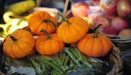 mini pumpkins at farmers market downtown ogden utah