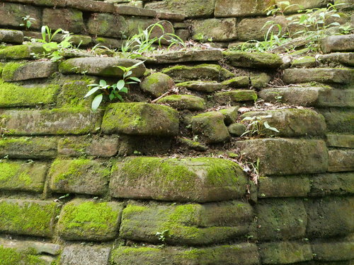 [Corner of Platform Structure at Maya Ruins]