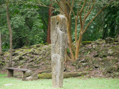 [Stele at the Maya Ruins (not placed under cover, it is now surrounded by jungle)]