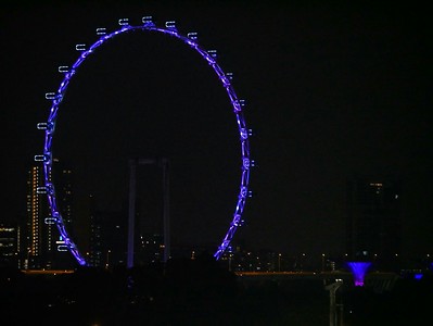 Singapore Wheel